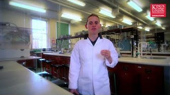 Can pigs and seaweed cure Diabetes?