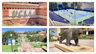 加州大學(xué)洛杉磯分校 (UCLA)