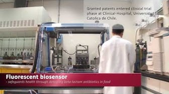PolyU research achievements - solve problems, create hopes