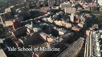 航拍耶魯大學(xué)