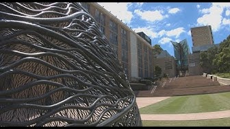 UNSW International