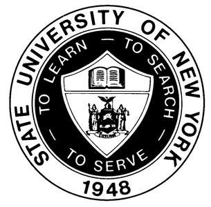 New York University