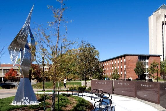 Michigan Technological University