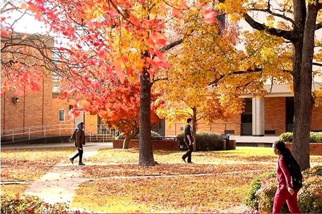 Old Dominion University