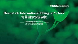 Beanstalk International Bilingual School Kunming Beanstalk International Bilingual School Kunming