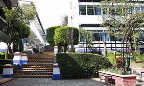 The Edron Academy The Edron Academy