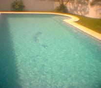 Saint George's School Marbella Saint George's School Marbella
