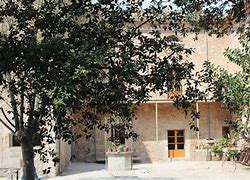 School Sa Llavor School Sa Llavor