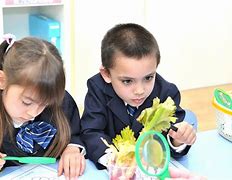Laurus International School of Science Laurus International School of Science