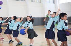 Nord Anglia Chinese International School (NACIS) Nord Anglia Chinese International School (NACIS)