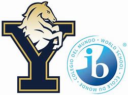 York International School York International School