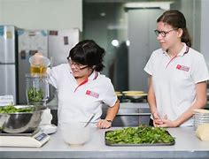 Melbourne Specialist International School Melbourne Specialist International School