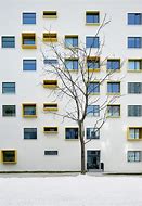 Beijing Chaoyang Kevin School Beijing Chaoyang Kevin School