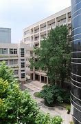 Nanjing Dongshan Foreign Language School Nanjing Dongshan Foreign Language School