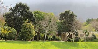 Constantia Waldorf School Constantia Waldorf School