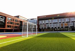 Kaiwen Academy Kaiwen Academy