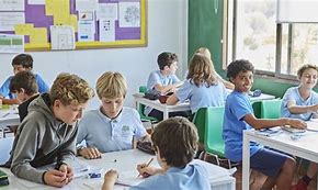 The Olive Tree School The Olive Tree School