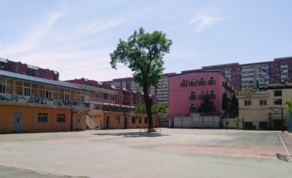 Dewey College Dewey College