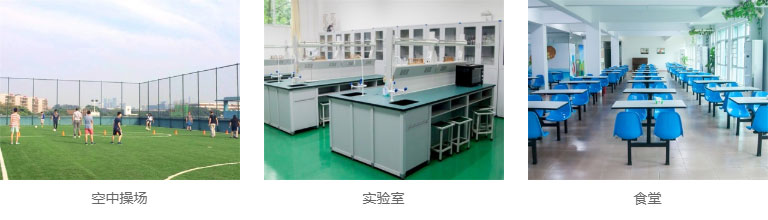 Shenzhen Bona School Shenzhen Bona School