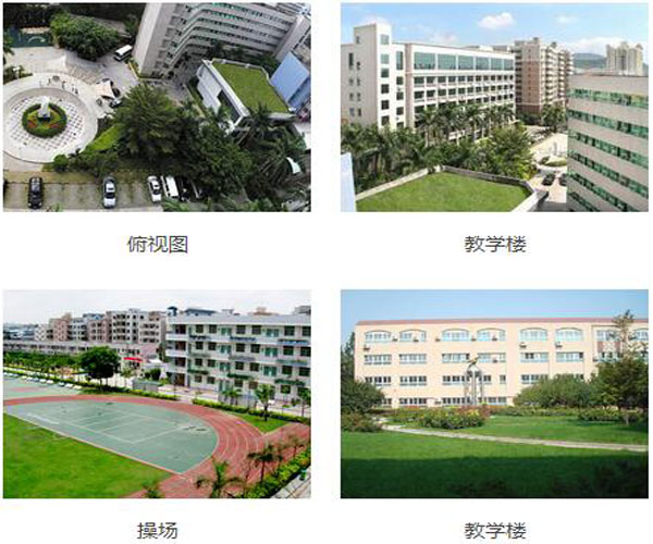 Shenzhen Seg International School Shenzhen Seg International School